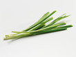 Garlic chives (Schnittknoblauch)