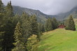 Wandern in den Alpen, Jungfrauregion, Schweiz