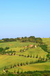 Zypressen,Kurve,Hügellandschaft,Toskana,Val d Orcia,La Foce