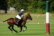Image : Open de France 2009_08