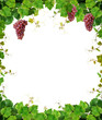 Grapevine frame with pink grapes Grapevine frame with pink grapes