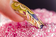 Human finger with long acrylic fingernail and beautiful manicure