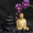 Buddha und Orchidee