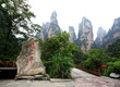 China national forest park - Zhangjiajie China national forest park - Zhangjiajie