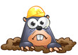 Mole pop out
