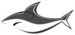 Shark - fish Shark - fish