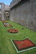 Jardin aux pieds de la ville close de Concarneau (Finistère)