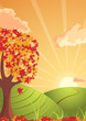 autumn landscape sunset  atmosphere