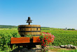 Bourgogne, pressoir et vignoble