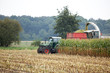 Maisernte im Herbst