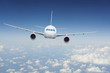 Airplane in the sky
