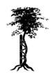 Orthopäden Baum schwarz