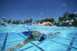 Female swimmer in pool, surface view