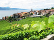 Vineyards in Lavaux region against Geneva lake. Switzerland