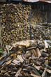 Firewood and wood shed in Latvia