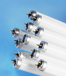 Photo en ligne au meilleur prix Fluorescent light