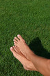 Barefoot in the Grass