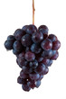Grappe de raisin