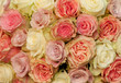 Rosen von oben