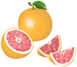 Grapefruit with half and wedges Grapefruit with half and wedges
