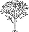 Vector tree crone made of electronic paths