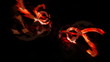 fire performance