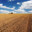 Harvesting