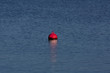Foto: Rote Boje - Symbolisch für Herausragend, etc. Rote Boje - Symbolisch für Herausragend, etc.