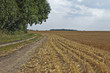 After Harvest - Abgeerntetes Feld