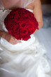 rose rosse