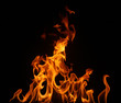 Fire on a black background Fire on a black background