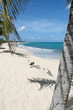 SAINT MARTIN SAINT MARTIN