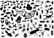 100 insects