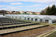 greenhouses