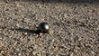 pétanque