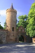 Neubrandenburg, Stadttor