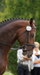 Cheval Cheval