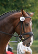 Cheval Cheval
