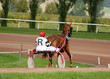 course de trop course de trop