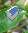 Maison solaire sur feuille Maison solaire sur feuille