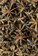 Dry food - Star Anise spices
