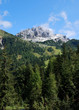 Montagna sopra i boschi