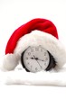 last minute
