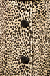 leopard print coat