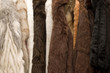 Fur coats
