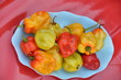 piments antillais