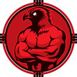 hawk