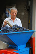 La vendemmia