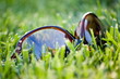 Elegant sunglasses lying on a bright green grass