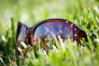Elegant sunglasses lying on a bright green grass